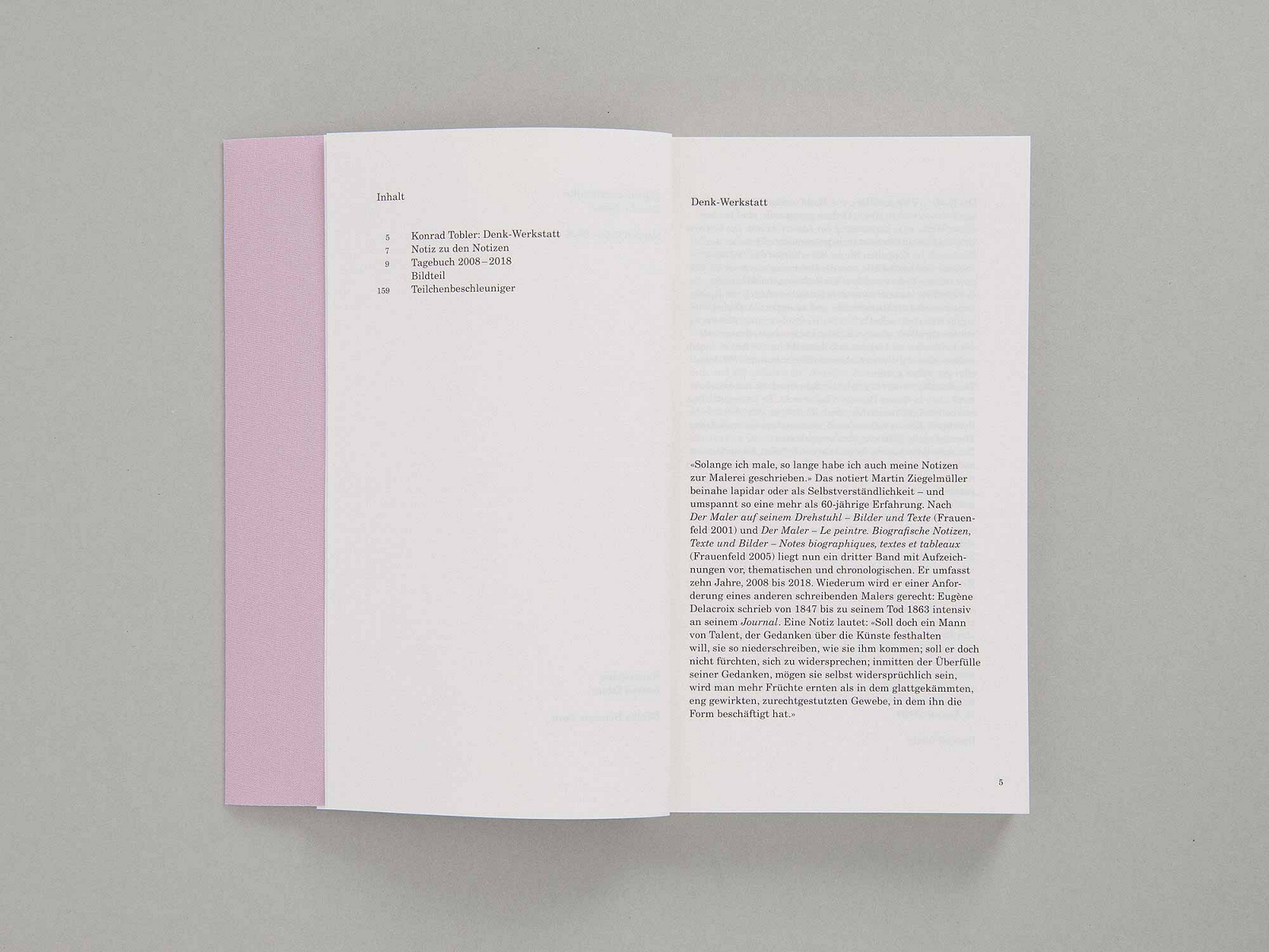 superbüro, Martin Ziegelmüller, der alte Maler, Notizen 2008–2018