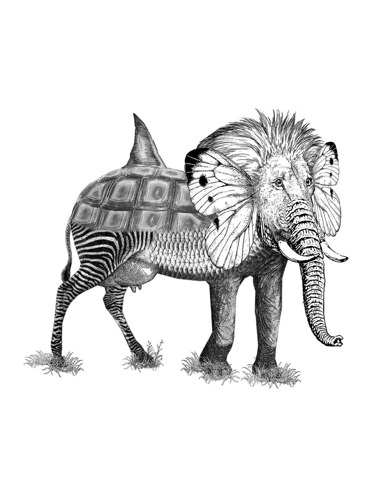 ILLUSTRATION – Carephant