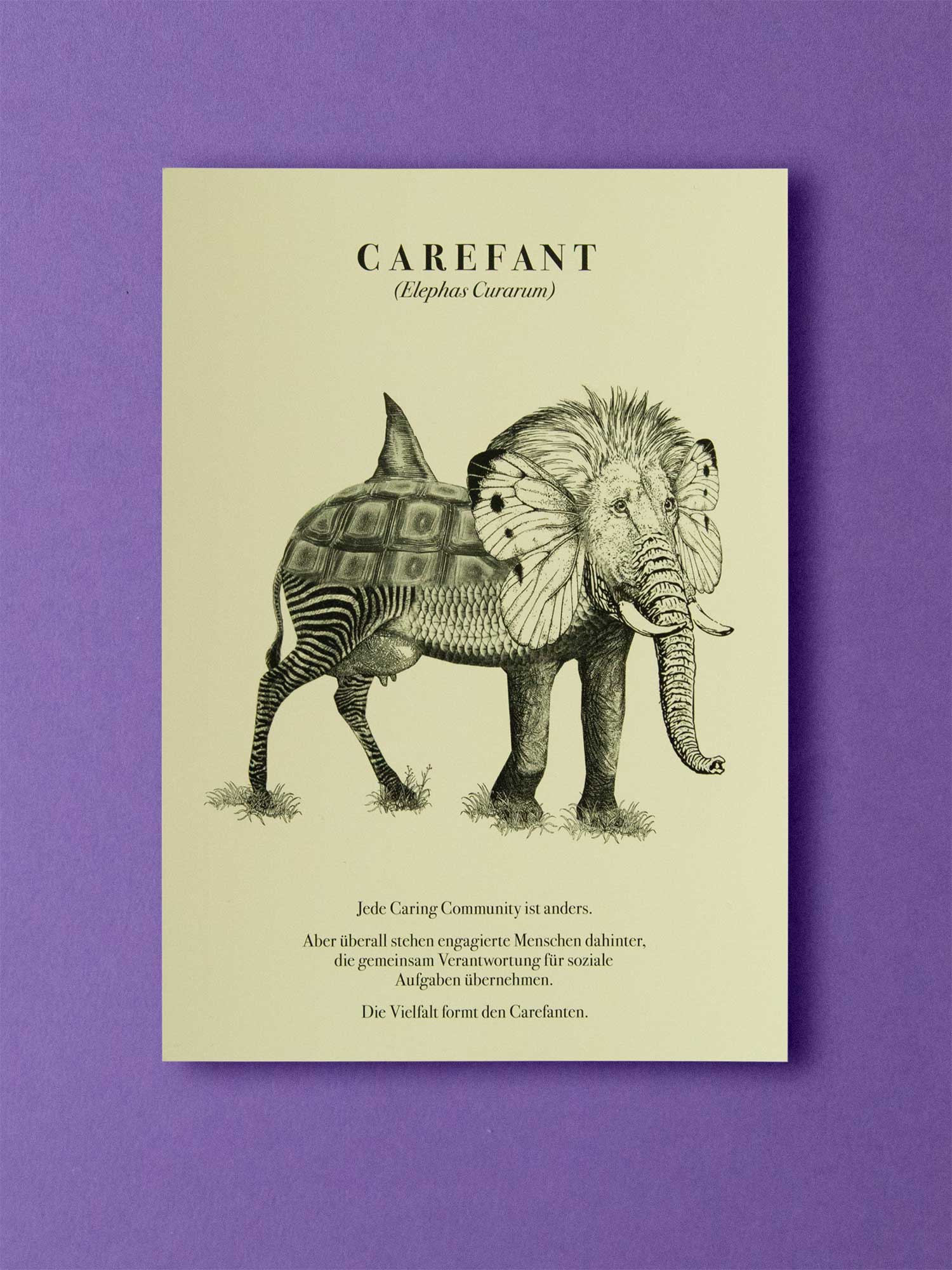 superbüro, carefant