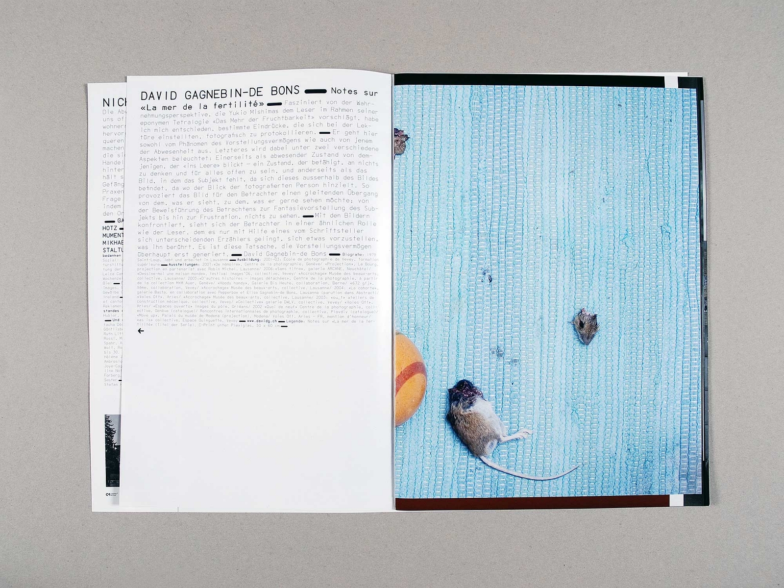 VISUAL IDENDITY – Bieler Fototage / Journées photographiques de Bienne 2007