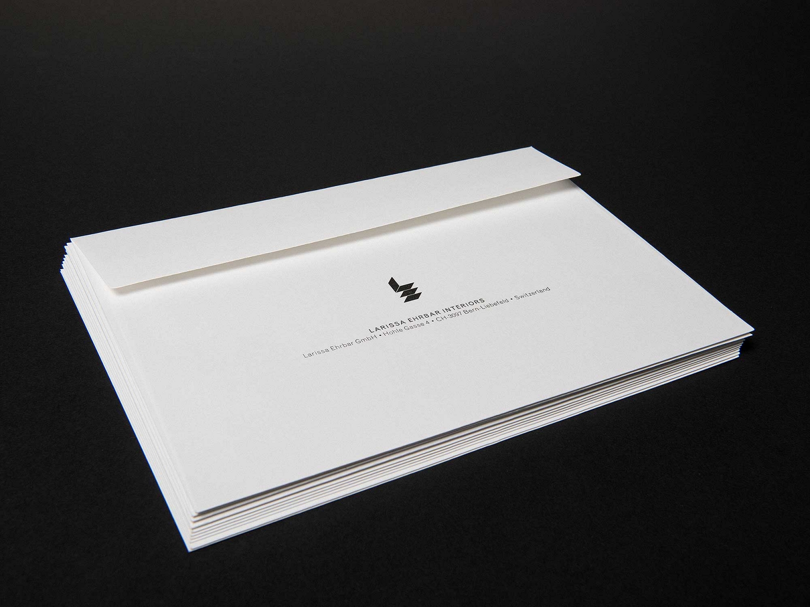 Larissa Ehrbar Interior, Logo