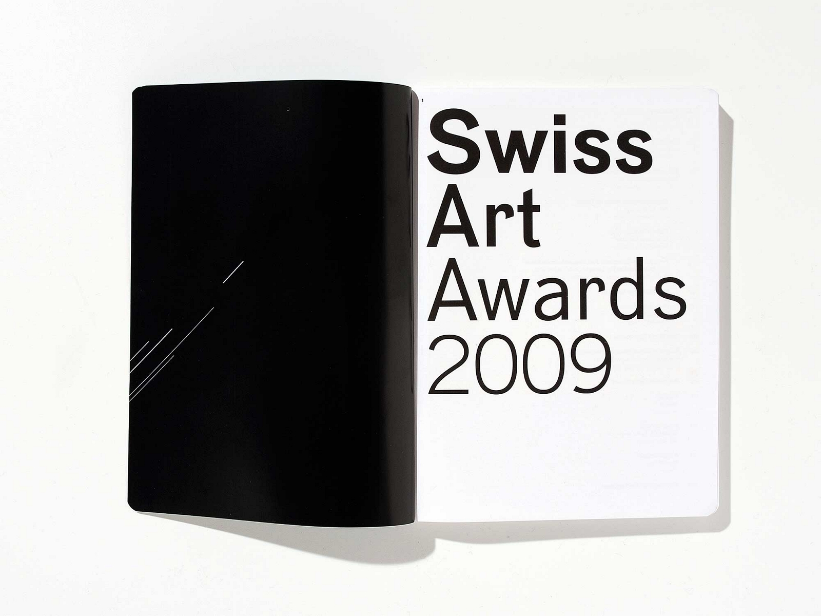 swiss art awards katalog