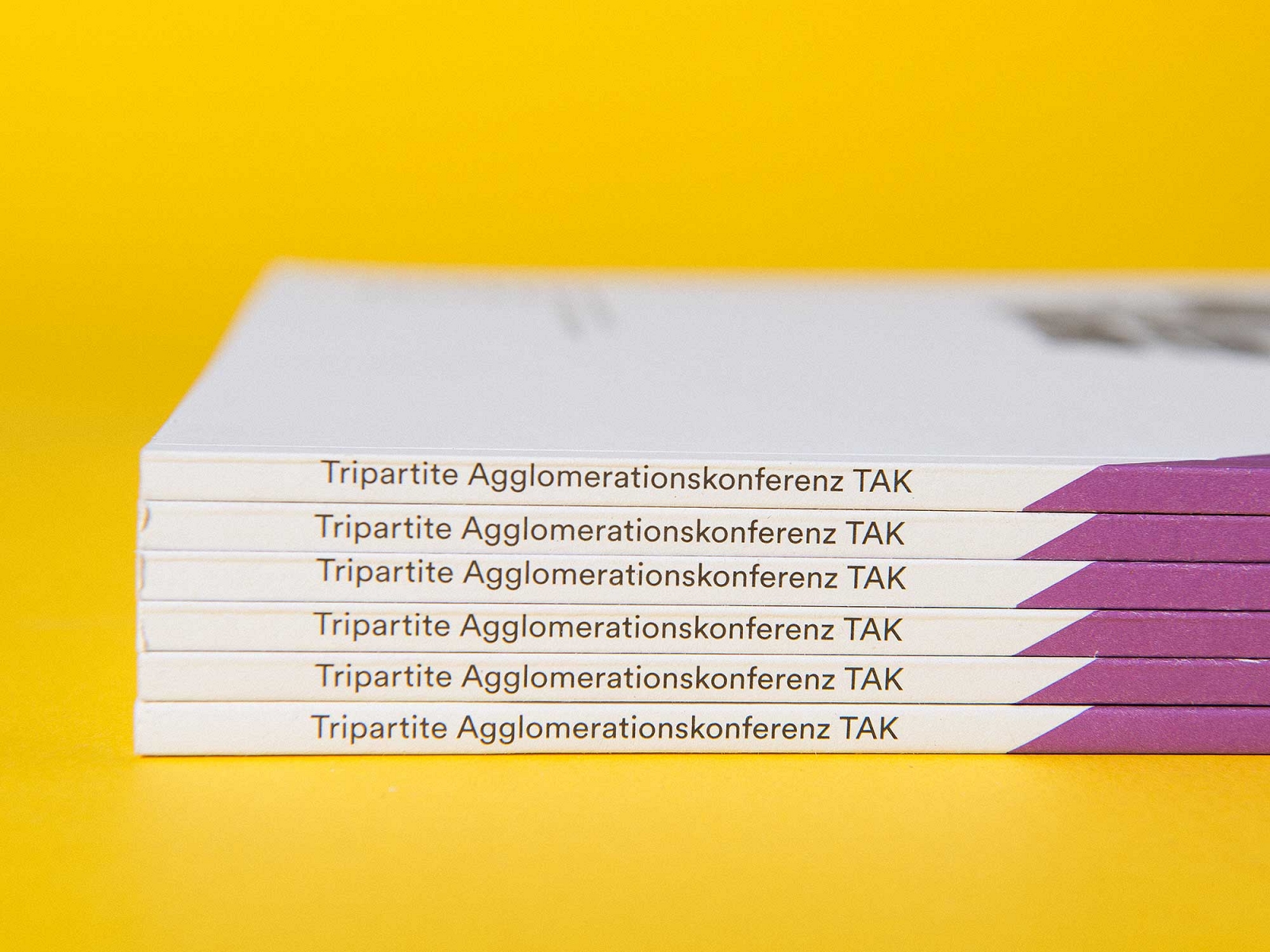 EDITORIAL DESIGN – 3 x 3, Bericht zur Siedlungsentwicklung