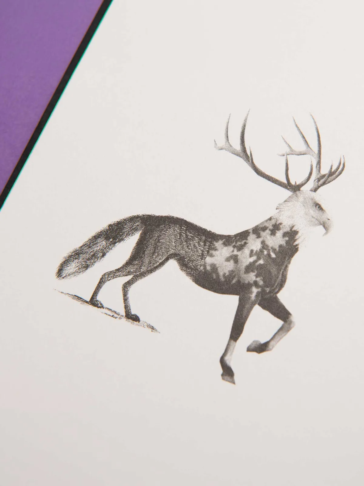 EDITORIAL DESIGN – Notizen