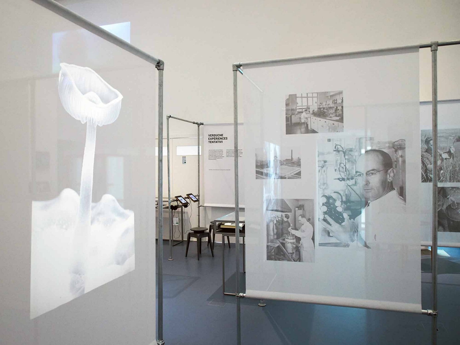 superbüro, LSD, Ein Sorgenkind wird 75, Szenografie